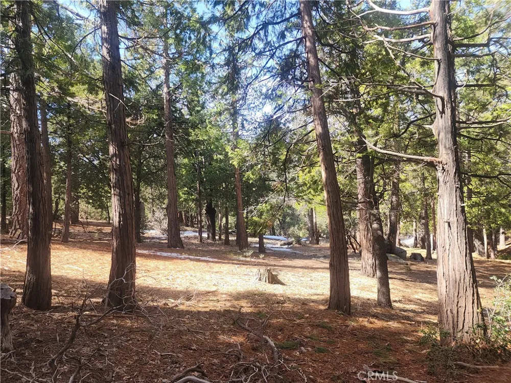 52547 Pine Cove Idyllwild, CA 92549