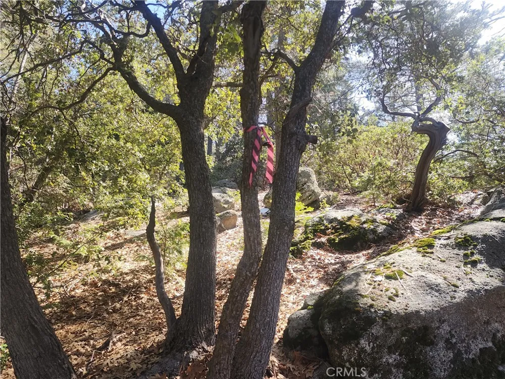 52547 Pine Cove Idyllwild, CA 92549