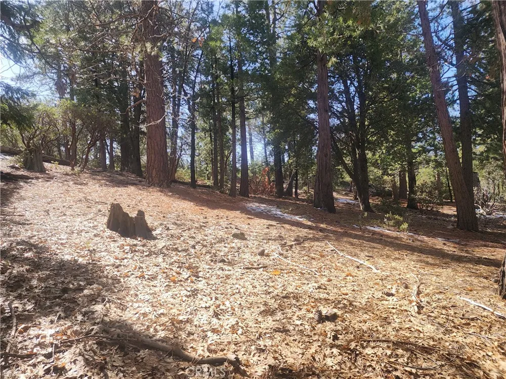 52547 Pine Cove Idyllwild, CA 92549