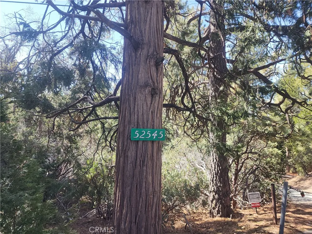 52547 Pine Cove Idyllwild, CA 92549