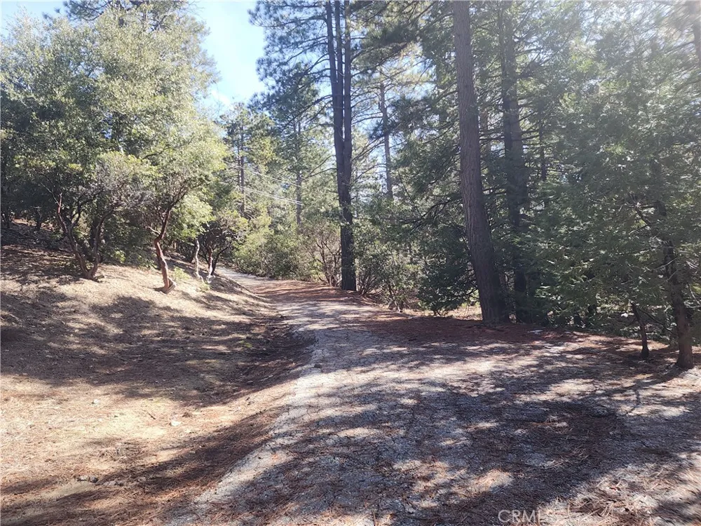 52547 Pine Cove Idyllwild, CA 92549