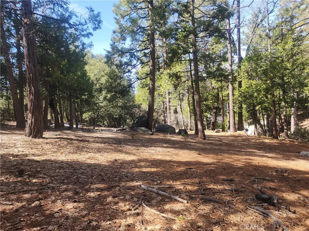 52547 Pine Cove Idyllwild, CA 92549