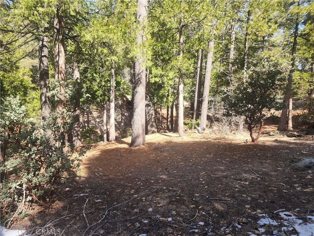 52547 Pine Cove Idyllwild, CA 92549