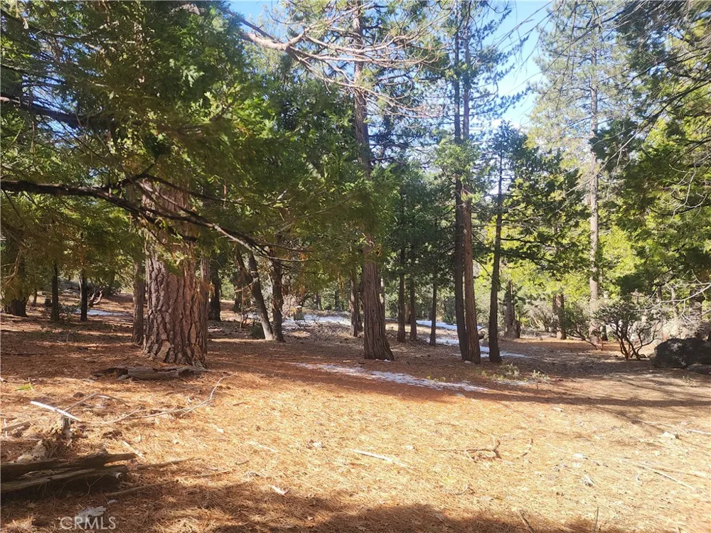 52547 Pine Cove Idyllwild, CA 92549