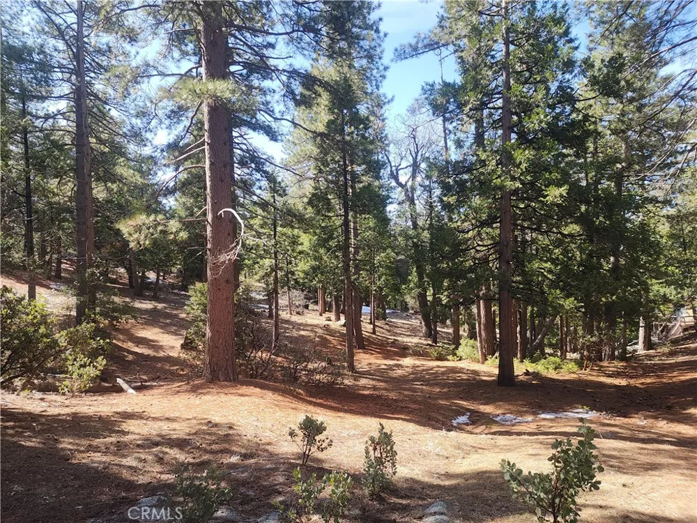 52547 Pine Cove Idyllwild, CA 92549