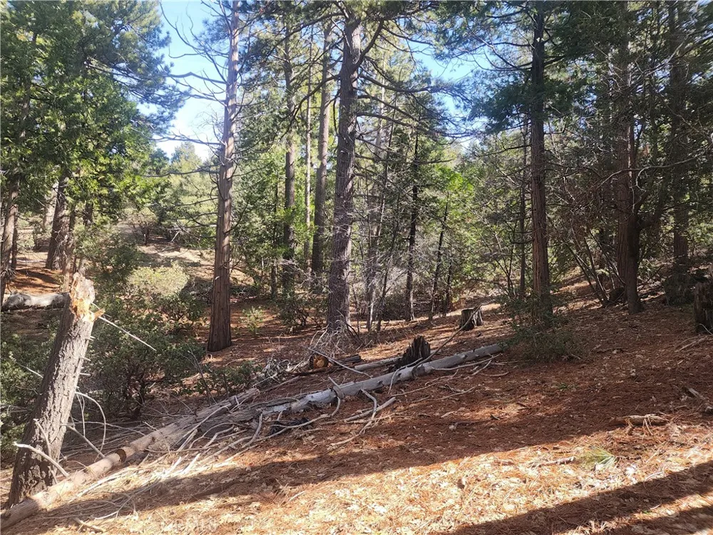 52547 Pine Cove Idyllwild, CA 92549