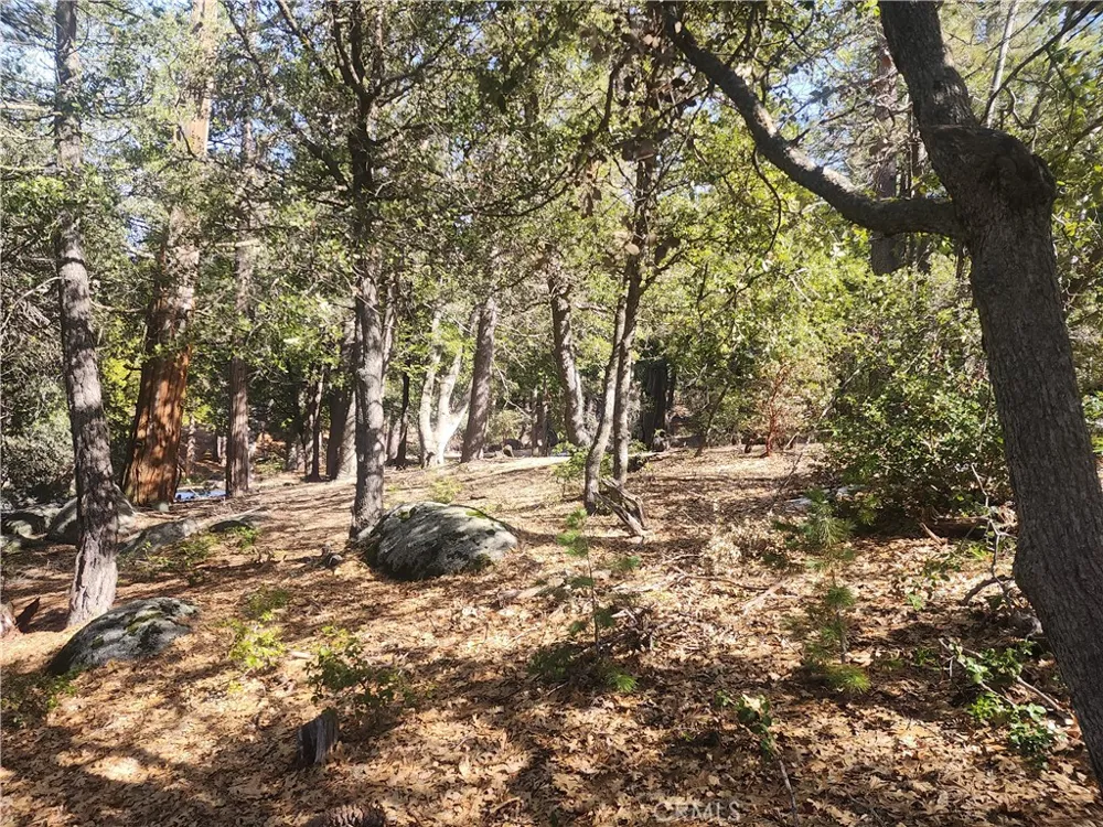52547 Pine Cove Idyllwild, CA 92549