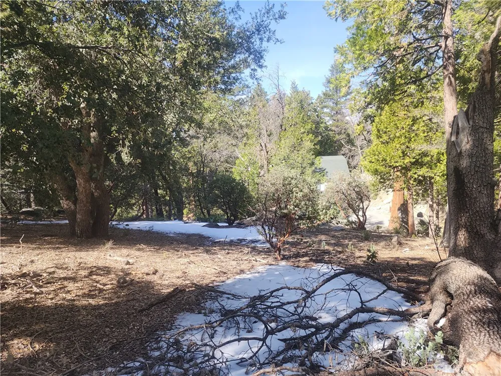 52547 Pine Cove Idyllwild, CA 92549