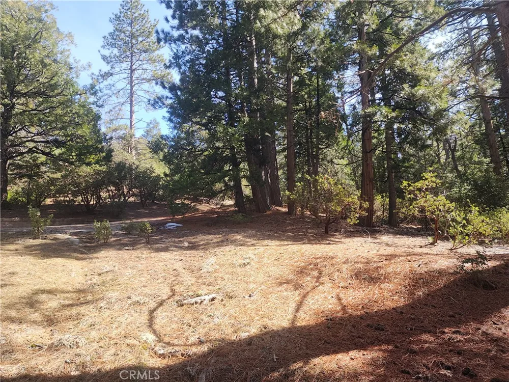 52547 Pine Cove Idyllwild, CA 92549