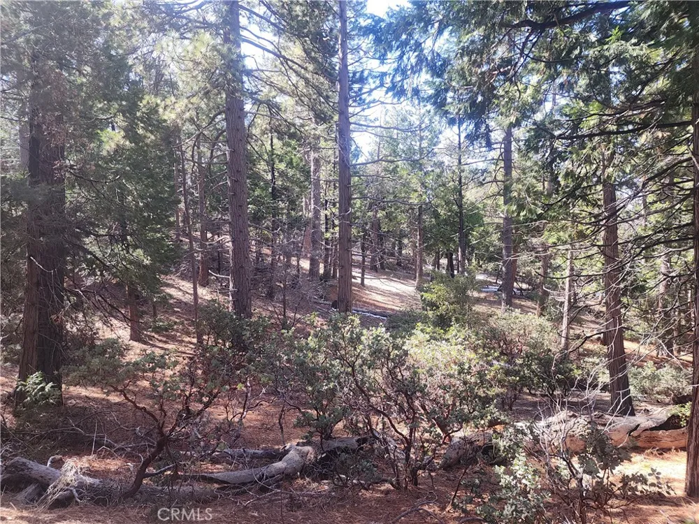 52547 Pine Cove Idyllwild, CA 92549