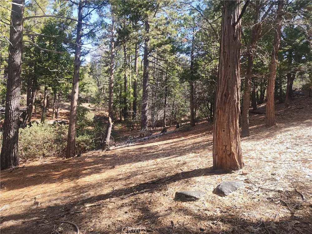 52547 Pine Cove Idyllwild, CA 92549