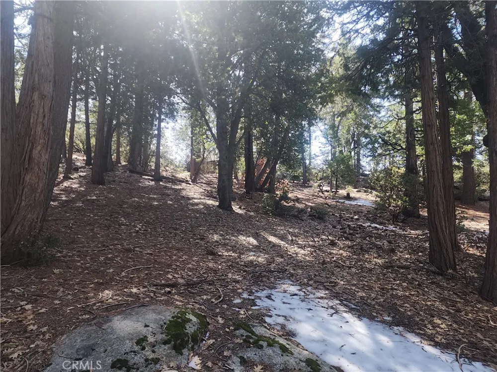 52547 Pine Cove Idyllwild, CA 92549