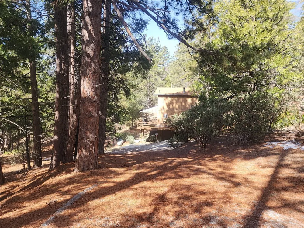 52547 Pine Cove Idyllwild, CA 92549