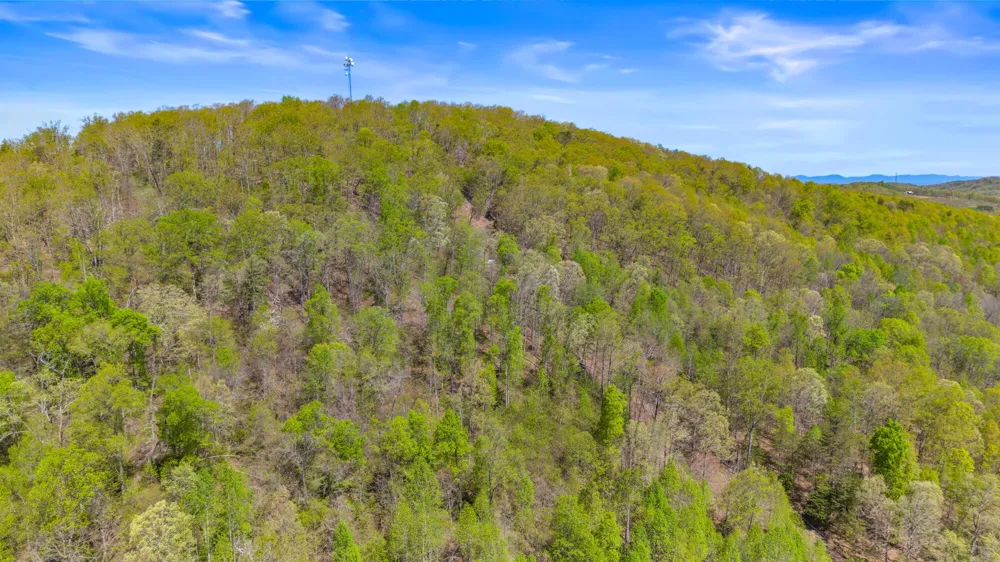 500 Dogtown Road Ten Mile, TN 37880