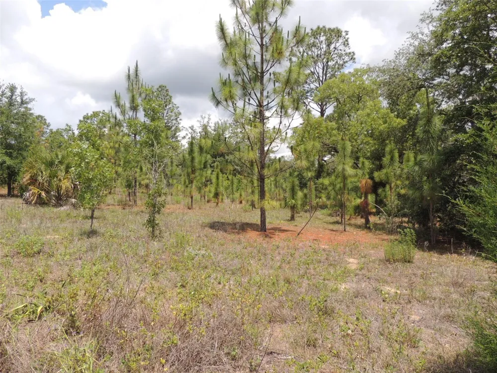 11351 SE 32ND PLACE Morriston, FL 32668