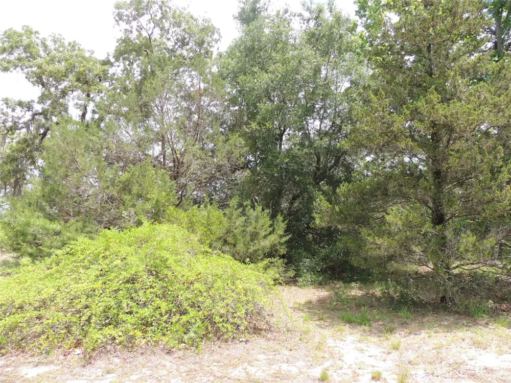 11351 SE 32ND PLACE Morriston, FL 32668