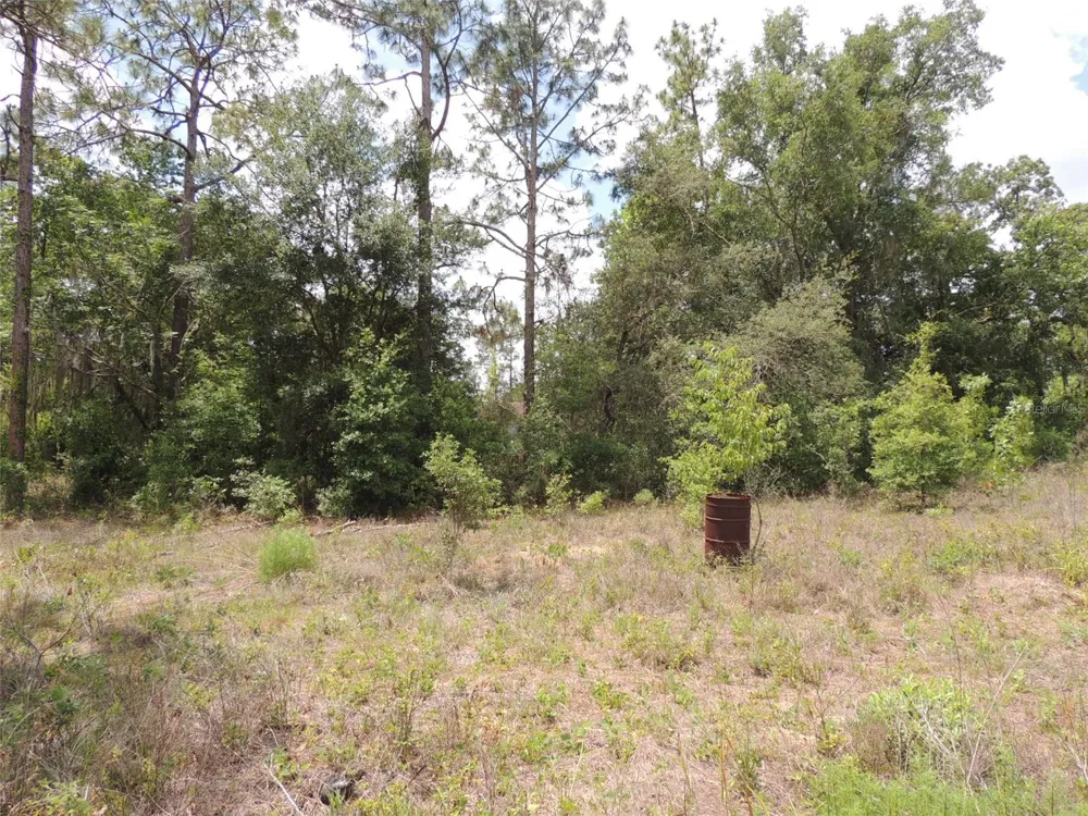 11351 SE 32ND PLACE Morriston, FL 32668