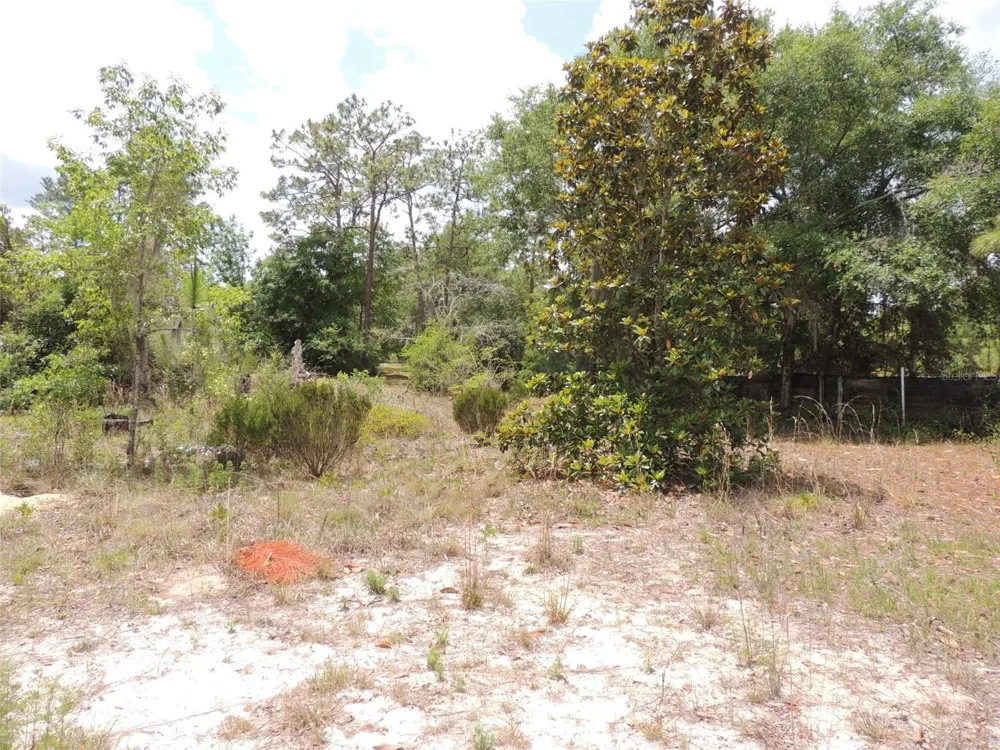 11351 SE 32ND PLACE Morriston, FL 32668
