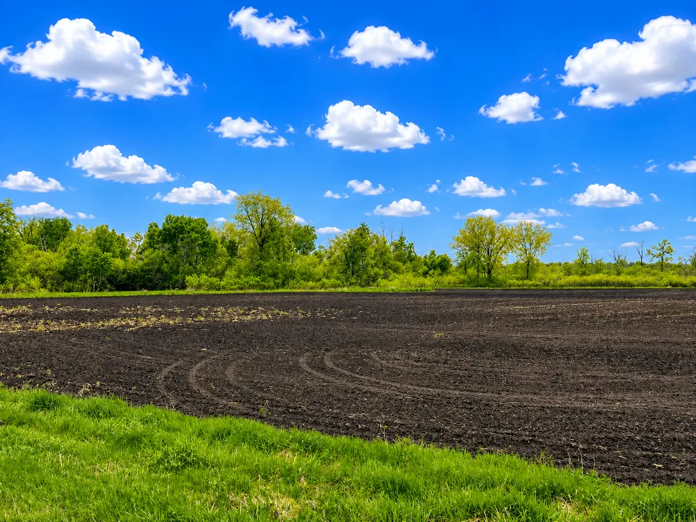 000 Xenon Road NW Dalbo, MN 55017