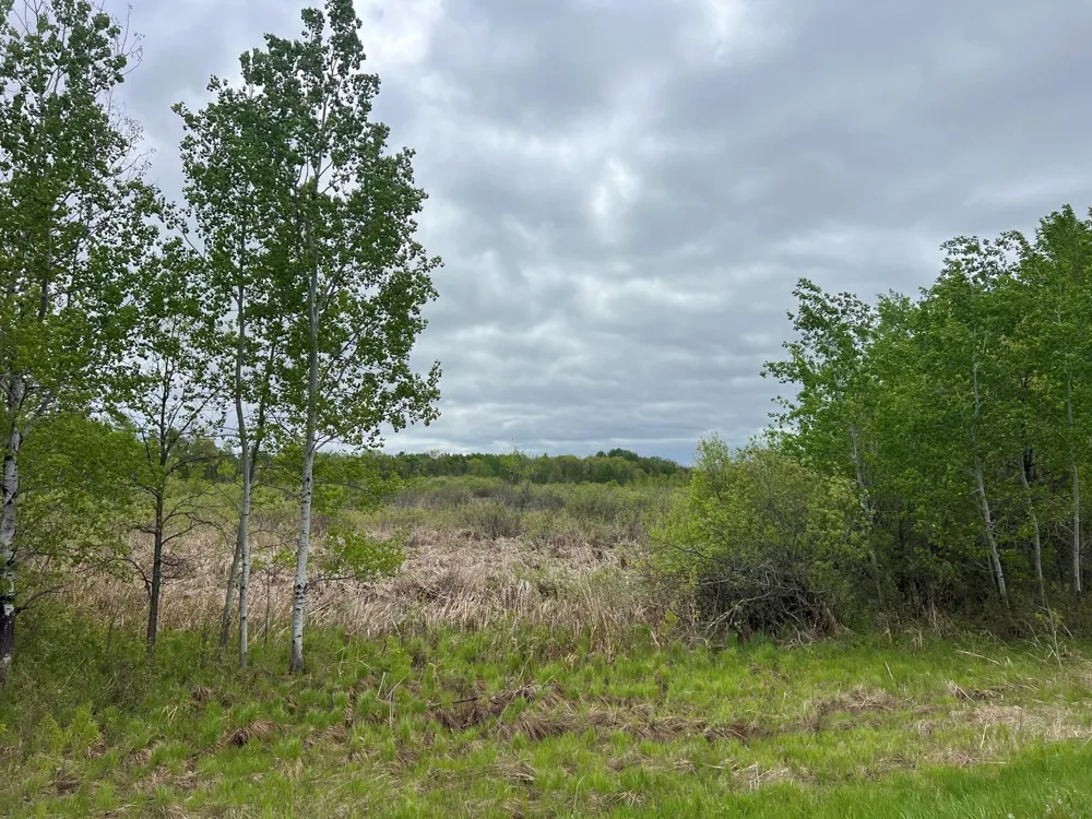 000 Xenon Road NW Dalbo, MN 55017