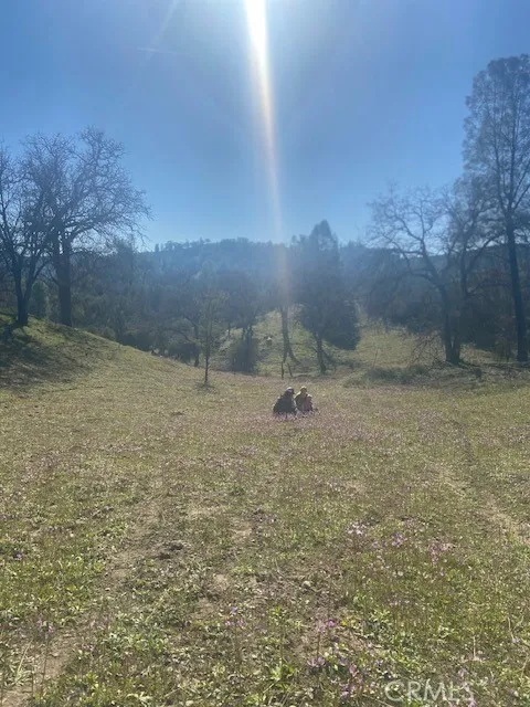 1575 Parkhill Road Santa Margarita, CA 93453