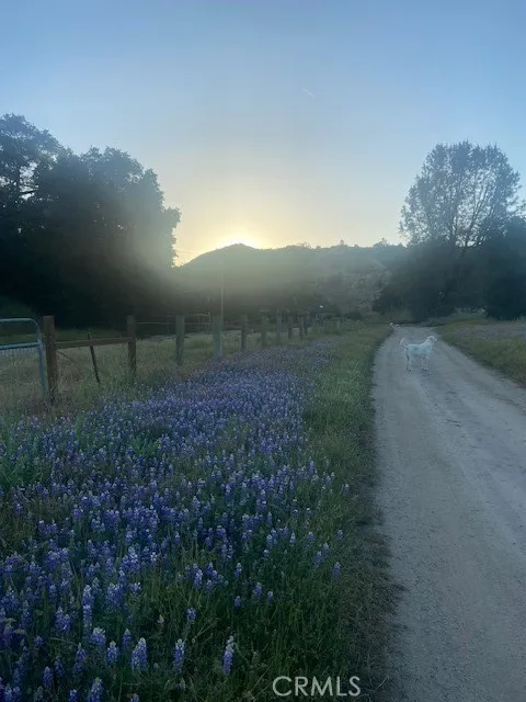 1575 Parkhill Road Santa Margarita, CA 93453
