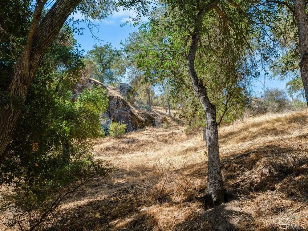 1575 Parkhill Road Santa Margarita, CA 93453