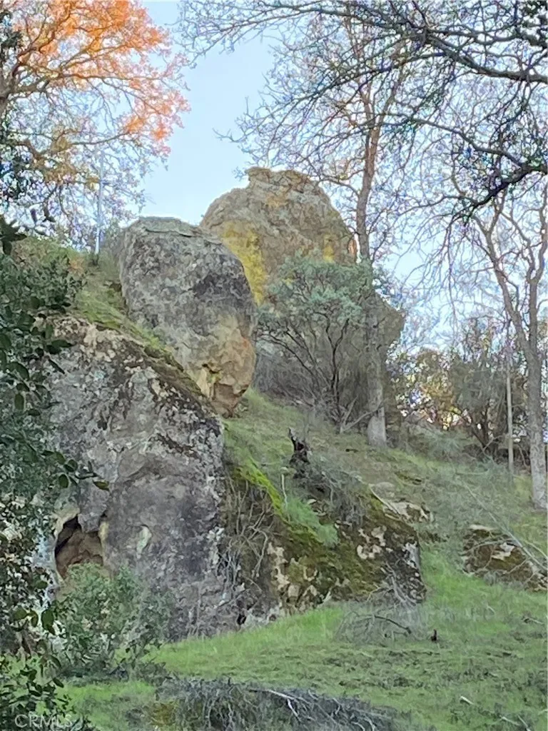 1575 Parkhill Road Santa Margarita, CA 93453