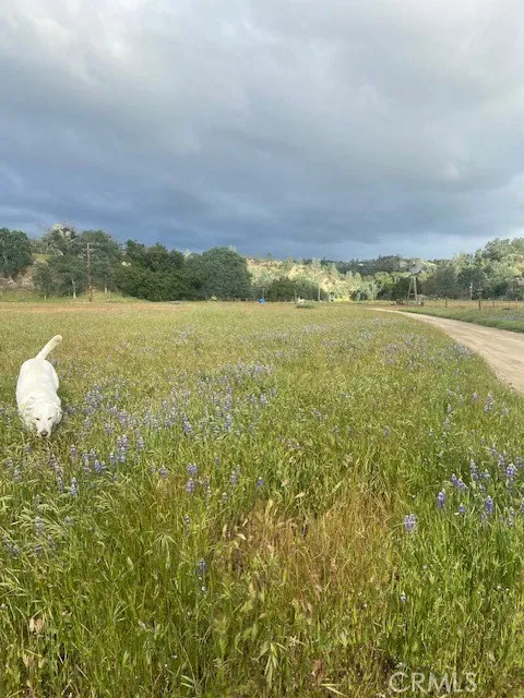 1575 Parkhill Road Santa Margarita, CA 93453
