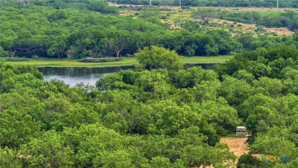 3833 County Road 2880 Bigfoot, TX 78005