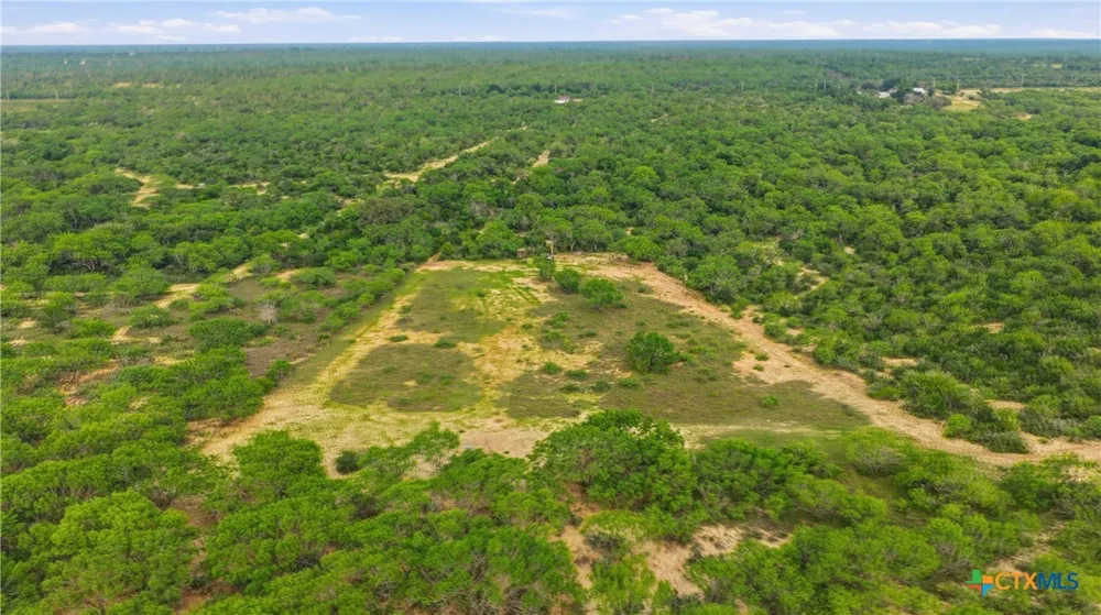 3833 County Road 2880 Bigfoot, TX 78005