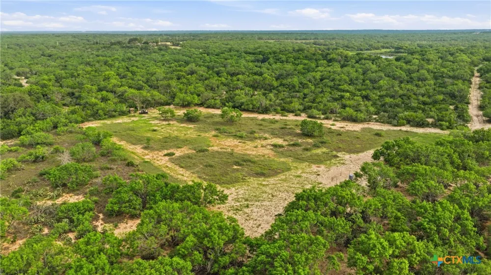 3833 County Road 2880 Bigfoot, TX 78005