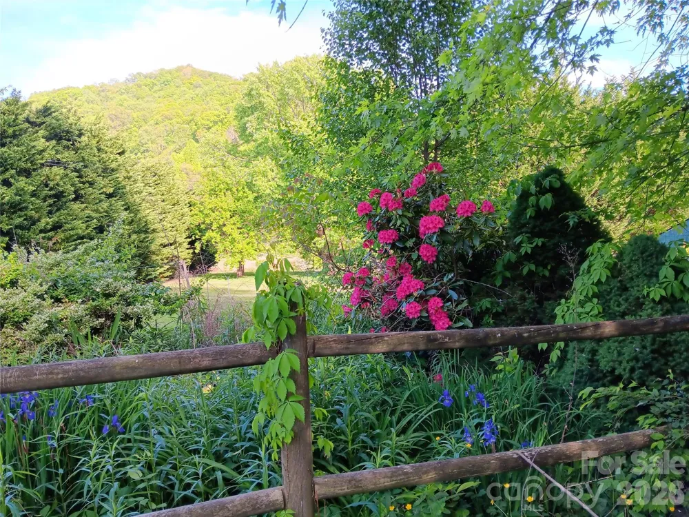2802 Beaverdam Road Canton, NC 28716