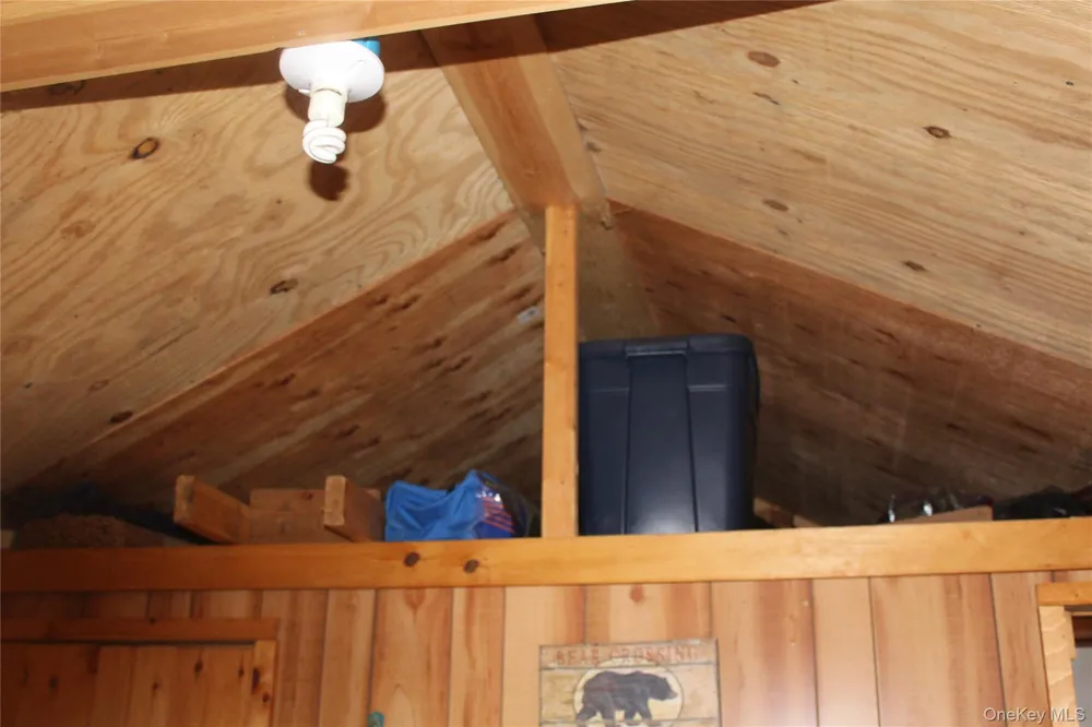 333 Peterson Drive Roscoe, NY 12776