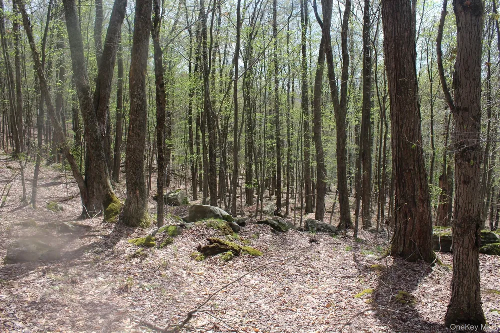 333 Peterson Drive Roscoe, NY 12776