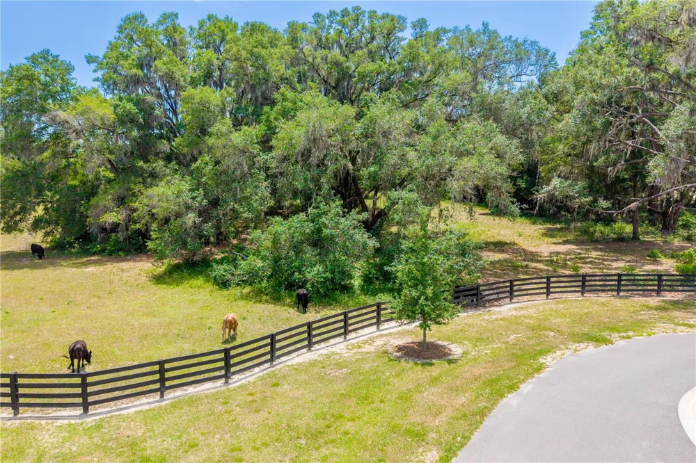 TBD SW 170TH STREET Newberry, FL 32669
