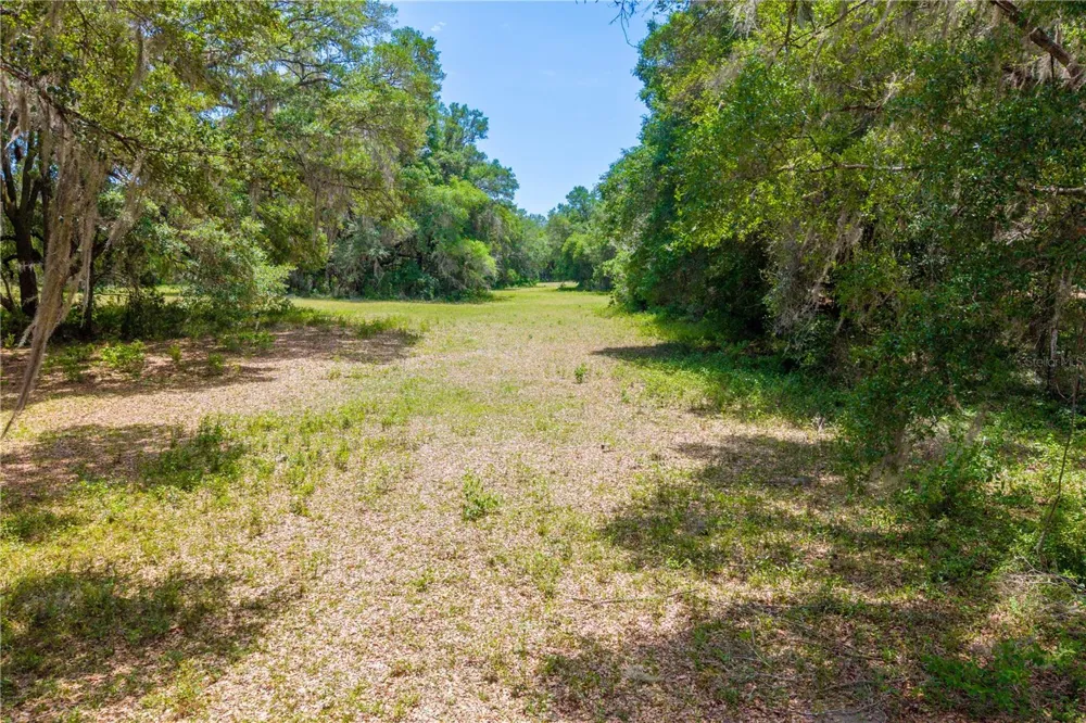 TBD SW 170TH STREET Newberry, FL 32669