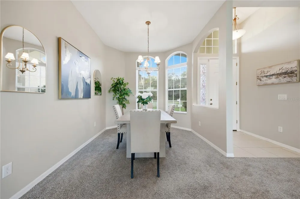 7006 ORVICTI COURT Wesley Chapel, FL 33544