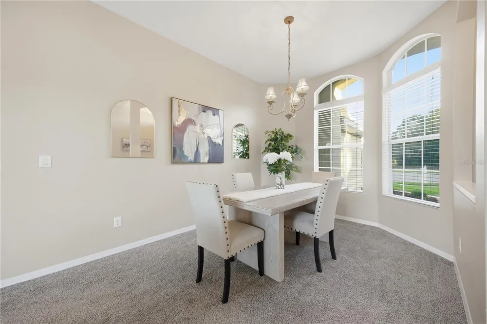 7006 ORVICTI COURT Wesley Chapel, FL 33544