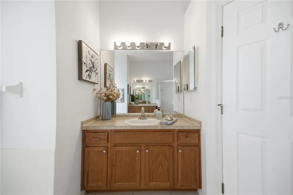 7006 ORVICTI COURT Wesley Chapel, FL 33544
