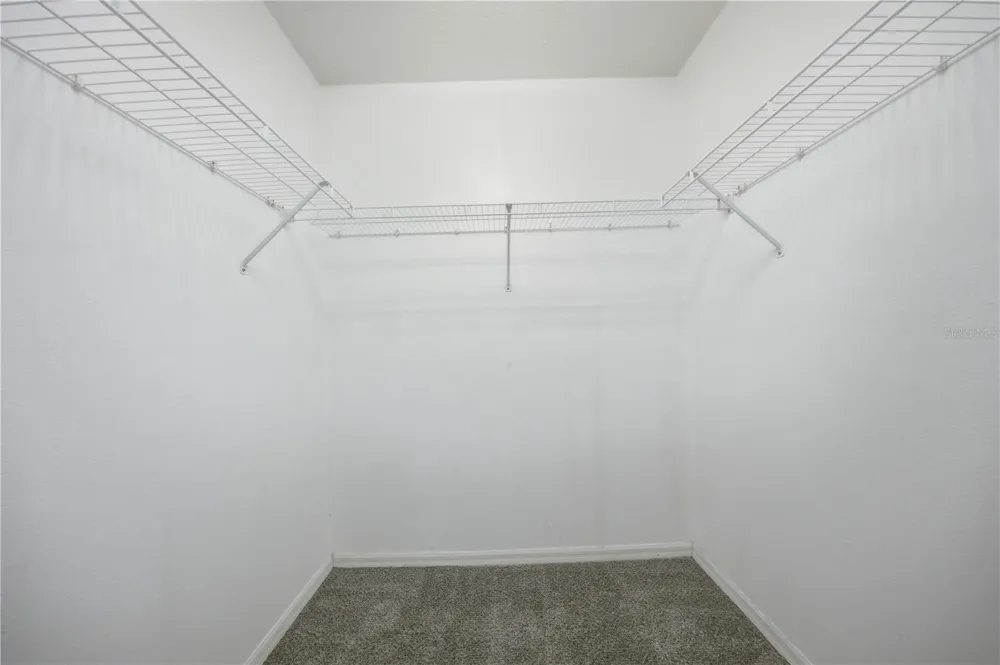 7006 ORVICTI COURT Wesley Chapel, FL 33544