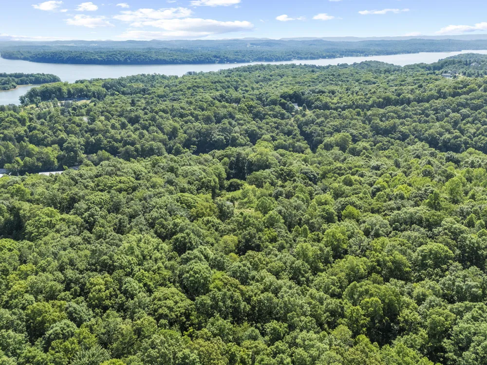 11021 Hixson Pike Soddy Daisy, TN 37379