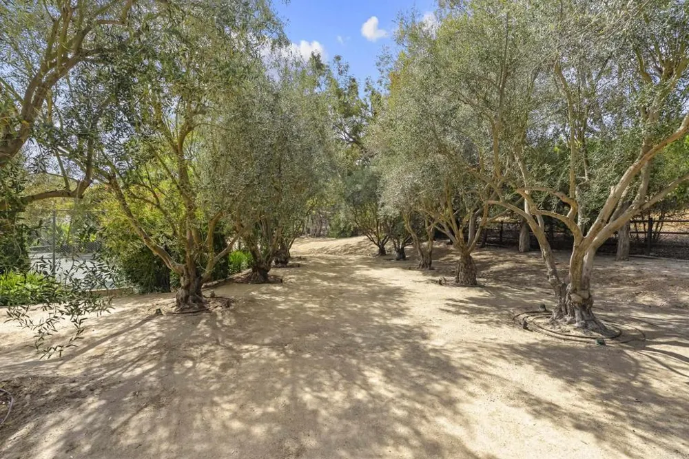 16560 El Camino Real Rancho Santa Fe, CA 92067