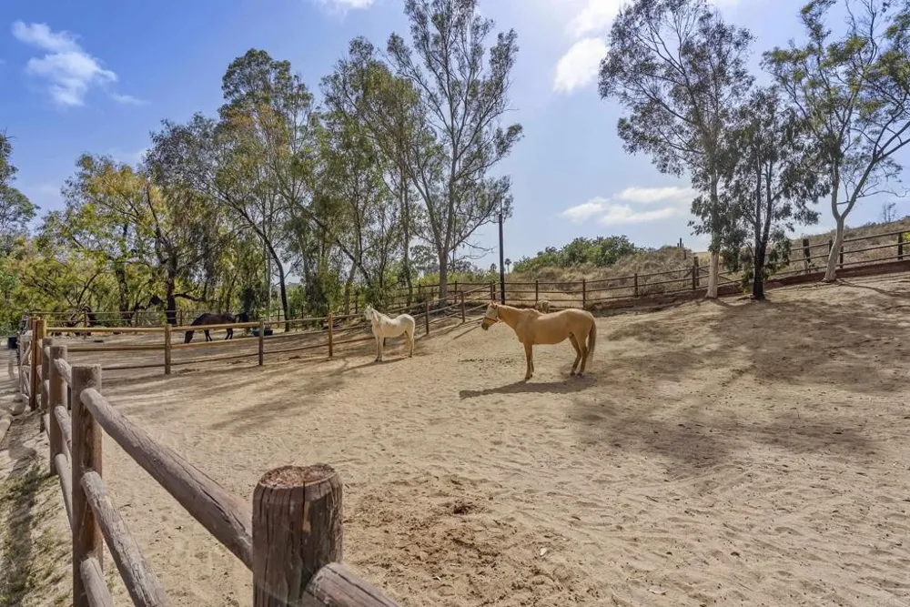 16560 El Camino Real Rancho Santa Fe, CA 92067