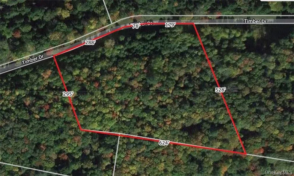 Lot 5 Timber Drive Bethel, NY 12720