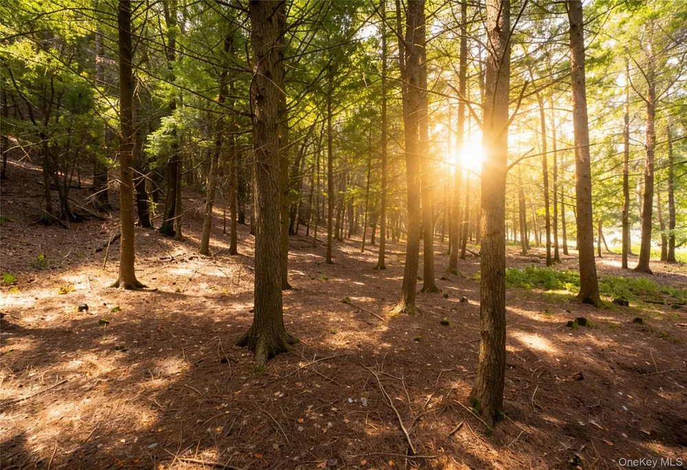 Lot 5 Timber Drive Bethel, NY 12720