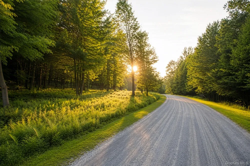 Lot 5 Timber Drive Bethel, NY 12720