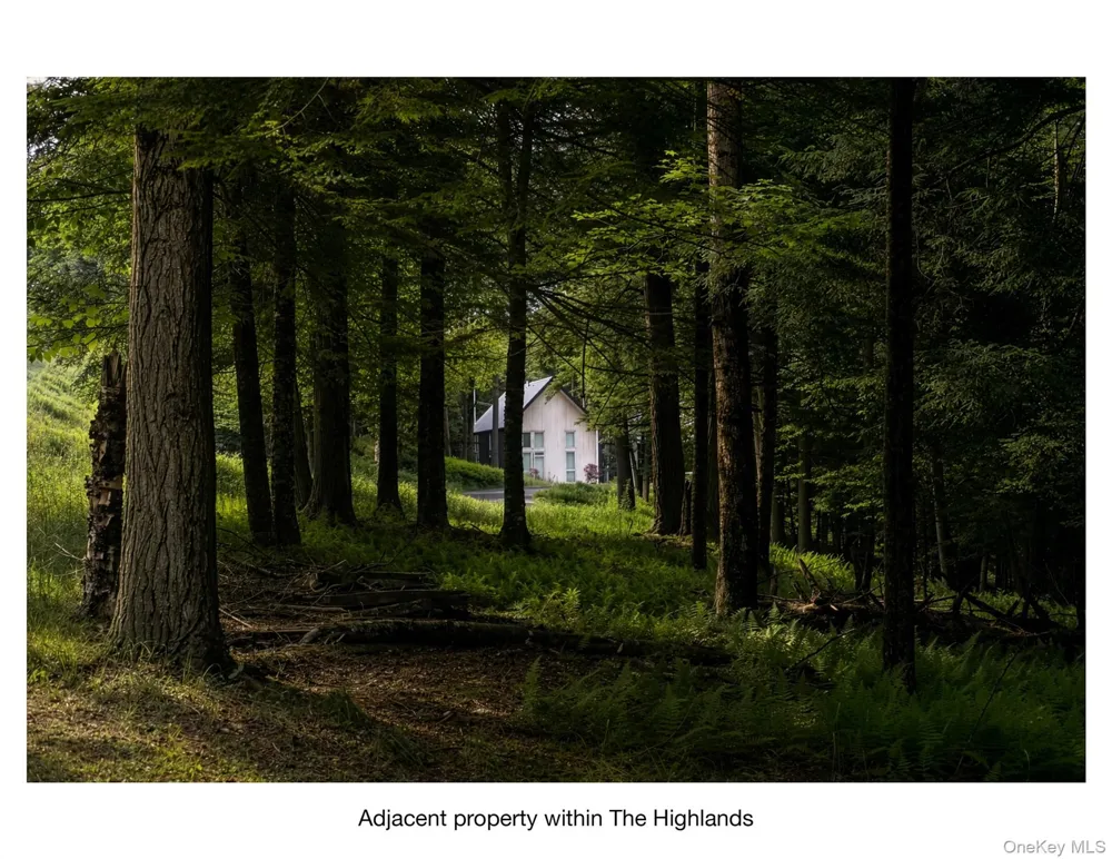Lot 5 Timber Drive Bethel, NY 12720