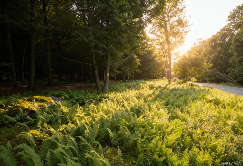 Lot 5 Timber Drive Bethel, NY 12720