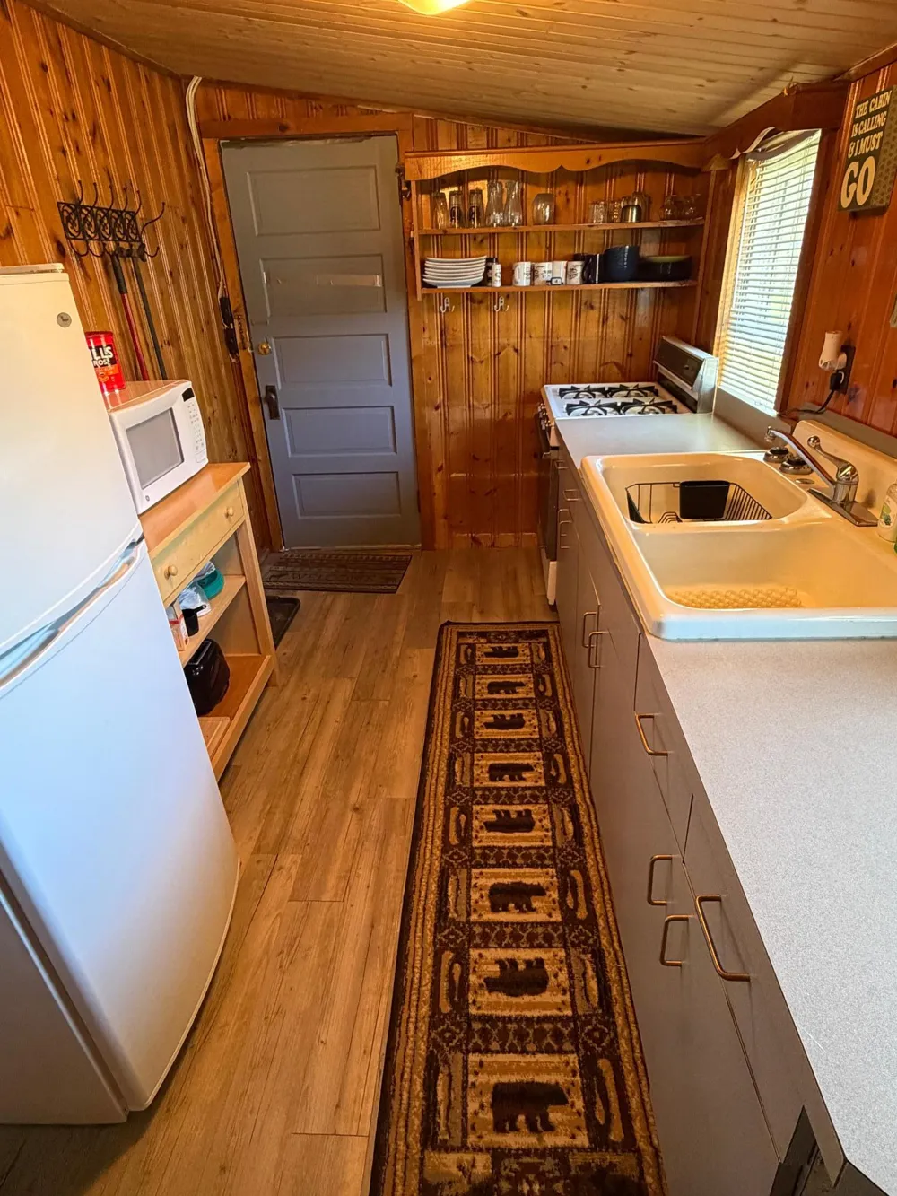 3487 Four Mile Bay Drive NW Baudette, MN 56623